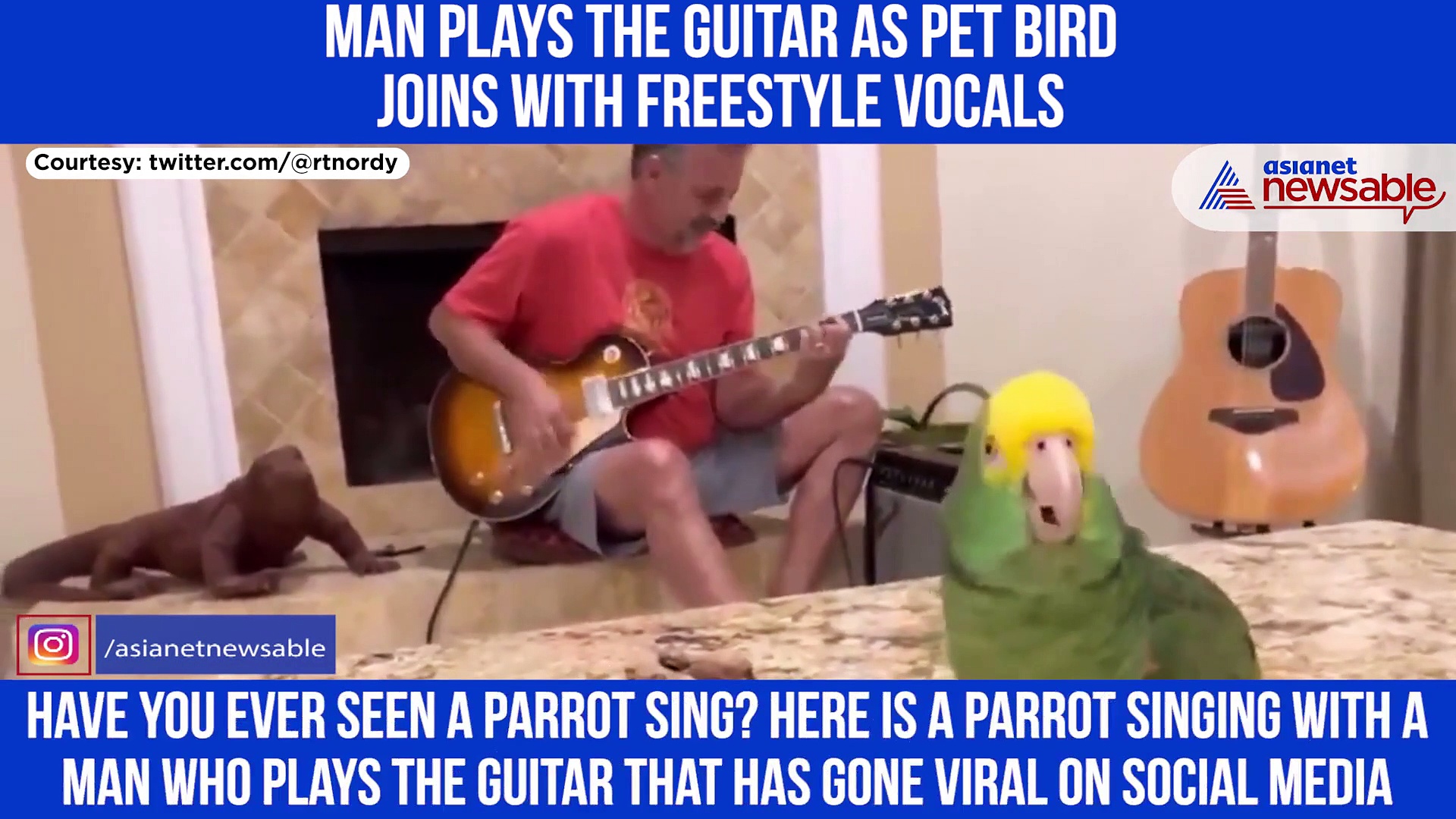 Parrot Sings Freestyle Vocals with a Man Who Plays Guitar, Watch Heartwarming Video