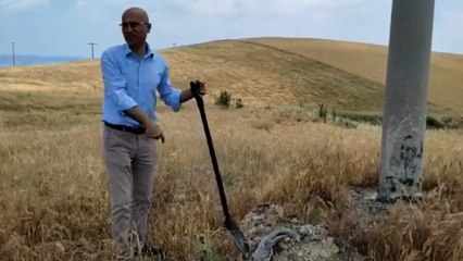 Adana'da buğday tarlasında plastik atık bulundu