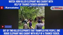 Watch: How killer elephant was caught with help of trained trucker Abhimanyu