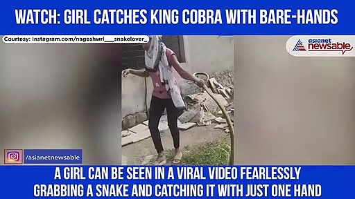 Girl Catches King Cobra With Bare Hands; Video Goes Viral