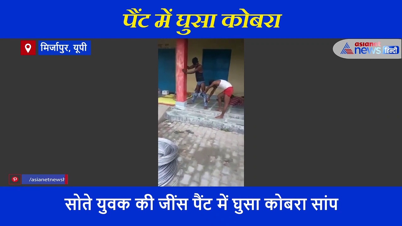 सोते समय जींस की पैंट में घुसा कोबरा, जिंदगी बचाने के लिए एंबुलेंस आई, सपेरा आया लेकिन फिर भी...