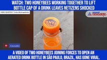 Watch: Two honeybees working together to lift bottle cap of a drink leaves netizens shocked