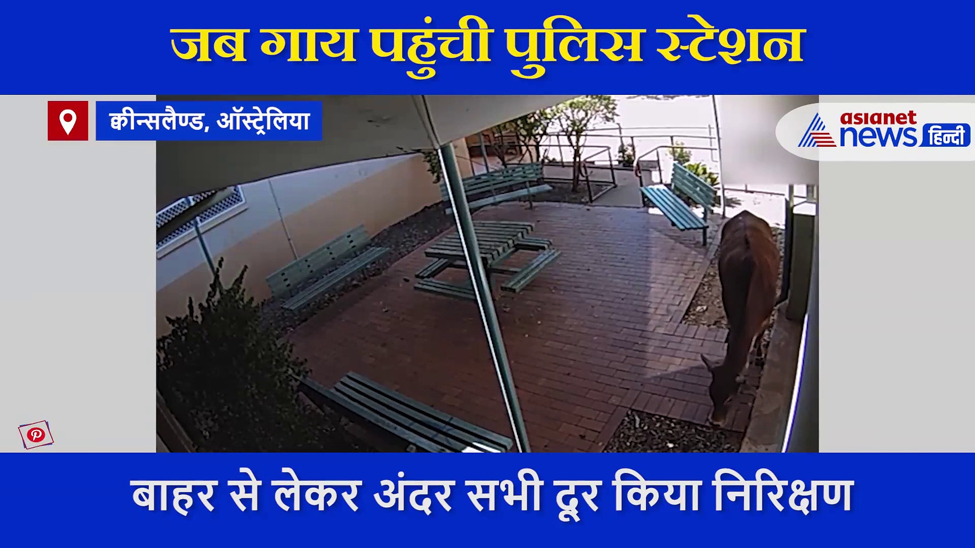 पुलिस नहीं, इस थाने में गश्ती लगाते दिखी 'ऑफिसर', लोगों ने किये कई मजेदार कमेंट्स