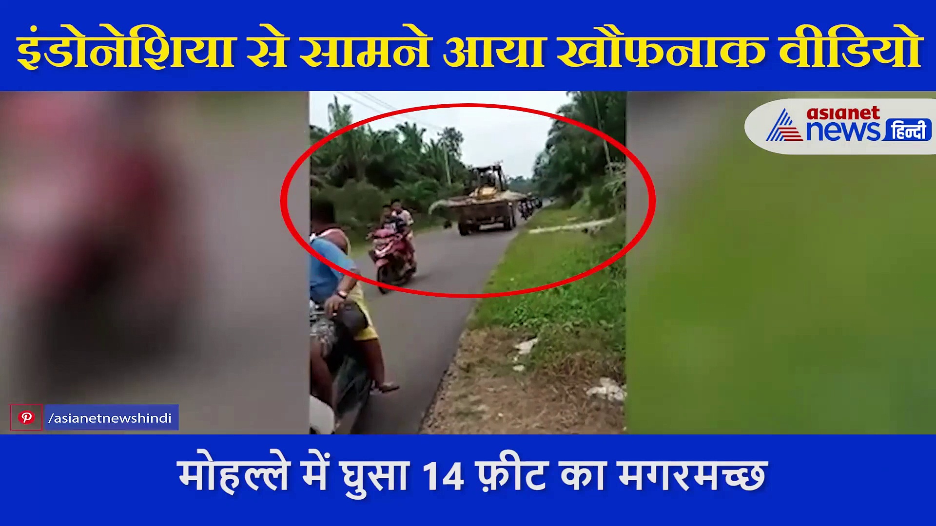 अचानक मोहल्ले में घुस आया 500 किलो का विशालकाय 'दैत्य', देखते ही बोले लोग- बाप रे बाप