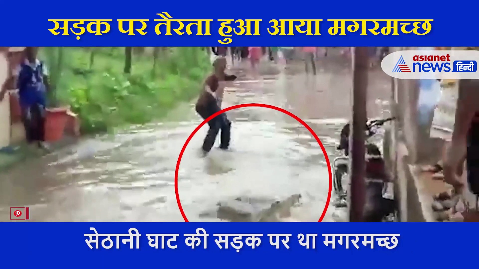 नर्मदा नदी से सड़क पर तैरता हुआ आया मगरमच्छ! जानें इस वीडियो का सच ?