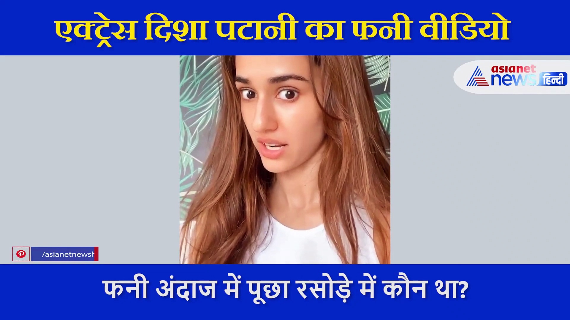 दिशा पटानी का फनी वीडियो आया सामने, अपने डॉगी के सामने पूछा रसोड़े में कौन था?