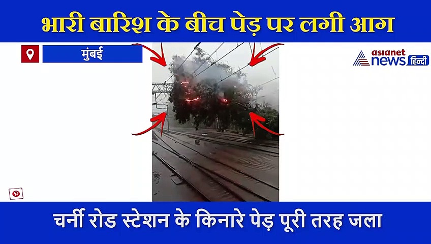 मुंबई में भारी बारिश के बीच पेड़ पर लगी आग, सामने आया शॉकिंग वीडियो