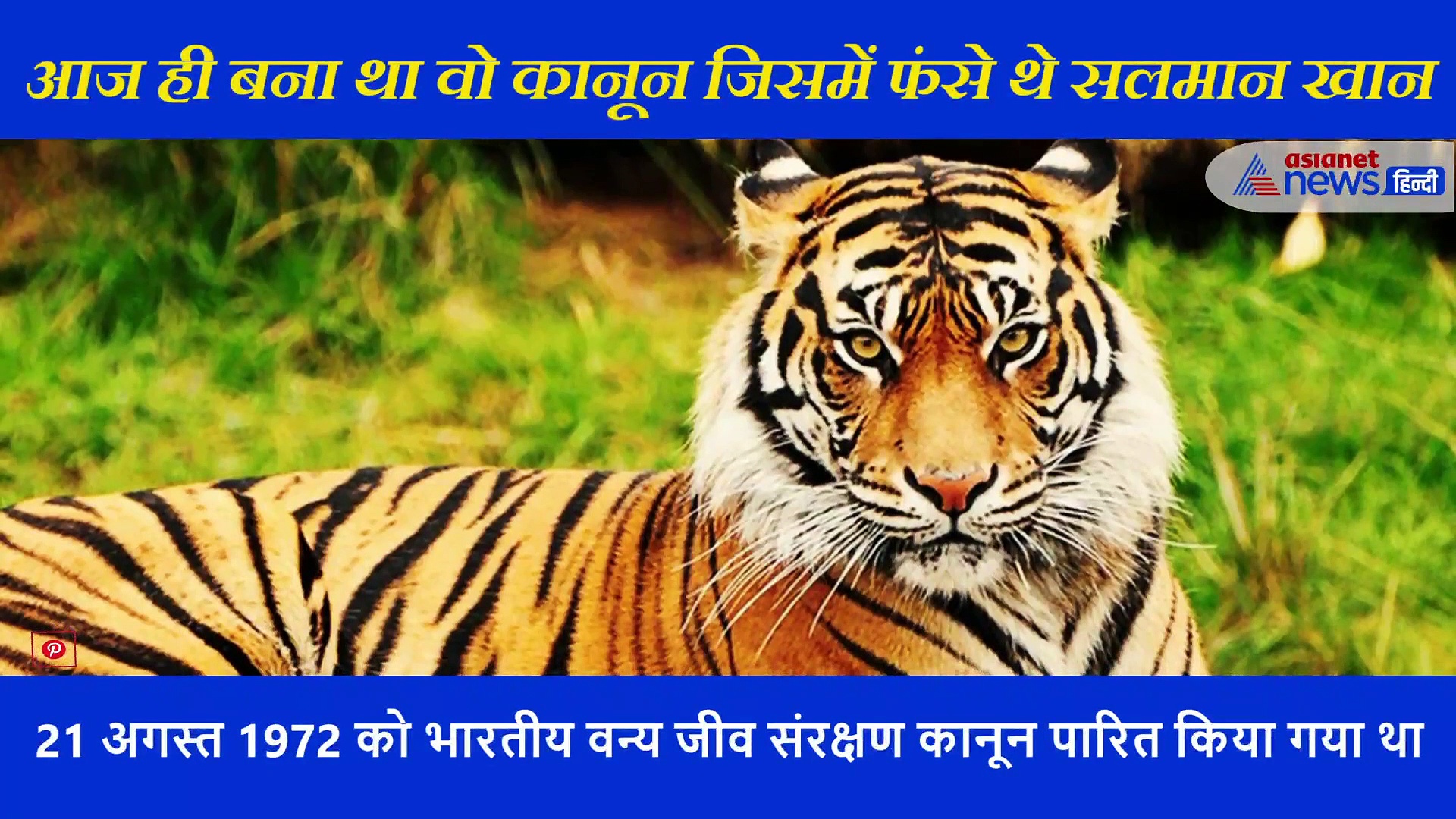 आज ही बना था वो कानून जिसमें फंसे थे बॉलीवुड के दबंग