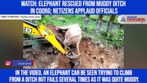 Watch: Elephant rescued from muddy ditch in Coorg; netizens applaud officials