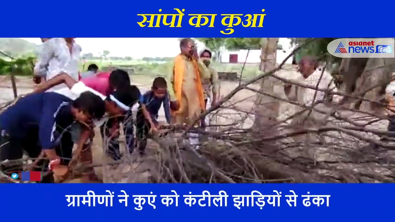 एक ही रात में हजारों सांपों से भर गया पानी का कुआं, डर से लोगों की निकल गई चीख