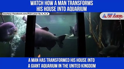 Watch how a man transforms his house into aquarium