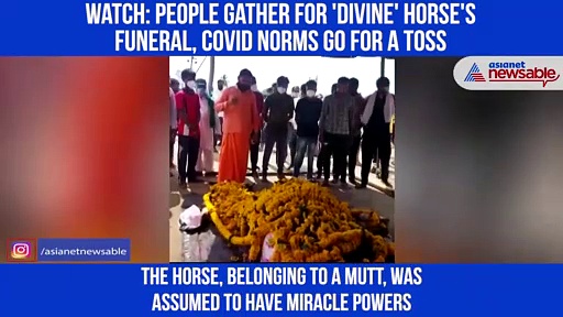 Hundreds took part in funeral of 'Divine Horse', Flouted COVID-19 rules in Karnataka