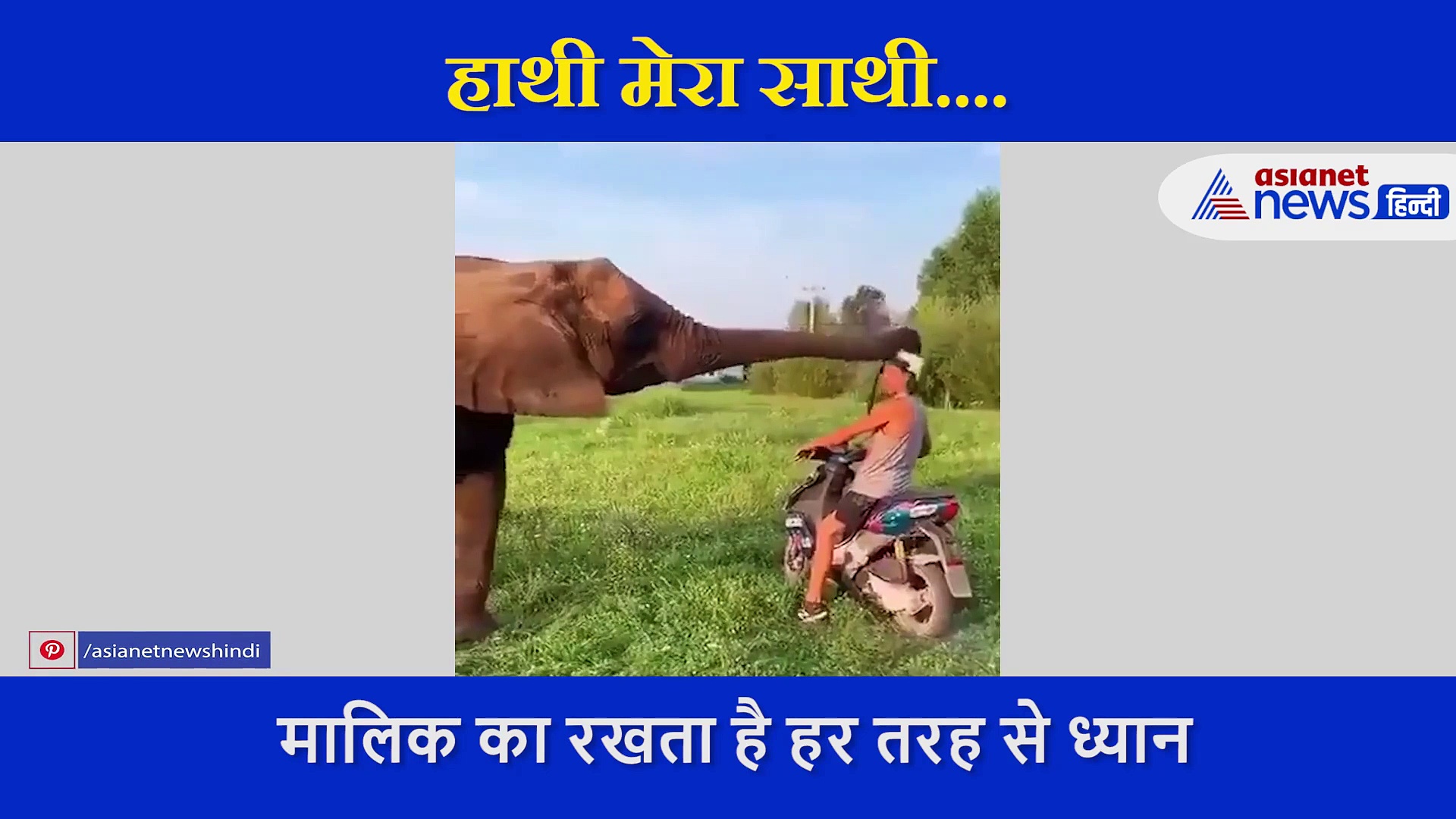 अपने मालिक का ऐसे रखता है ध्यान ये हाथी, सोशल मीडिया पर बना हीरो