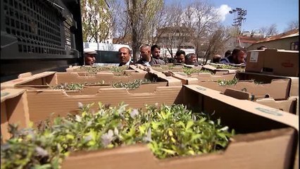 Özalp Belediyesi 30 bin fide dağıtımı gerçekleştirdi