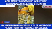 Watch: Farmers' hardwork in field with extreme accuracy leaves netizens filled with gratitude