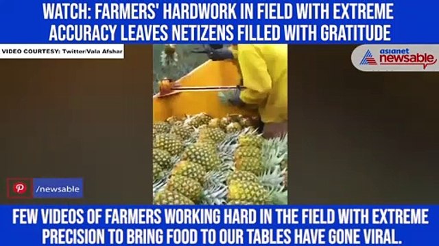 Watch: Farmers' hardwork in field with extreme accuracy leaves netizens filled with gratitude