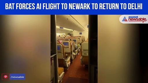 Stowaway bat forces Air India's Newark flight to return to Delhi