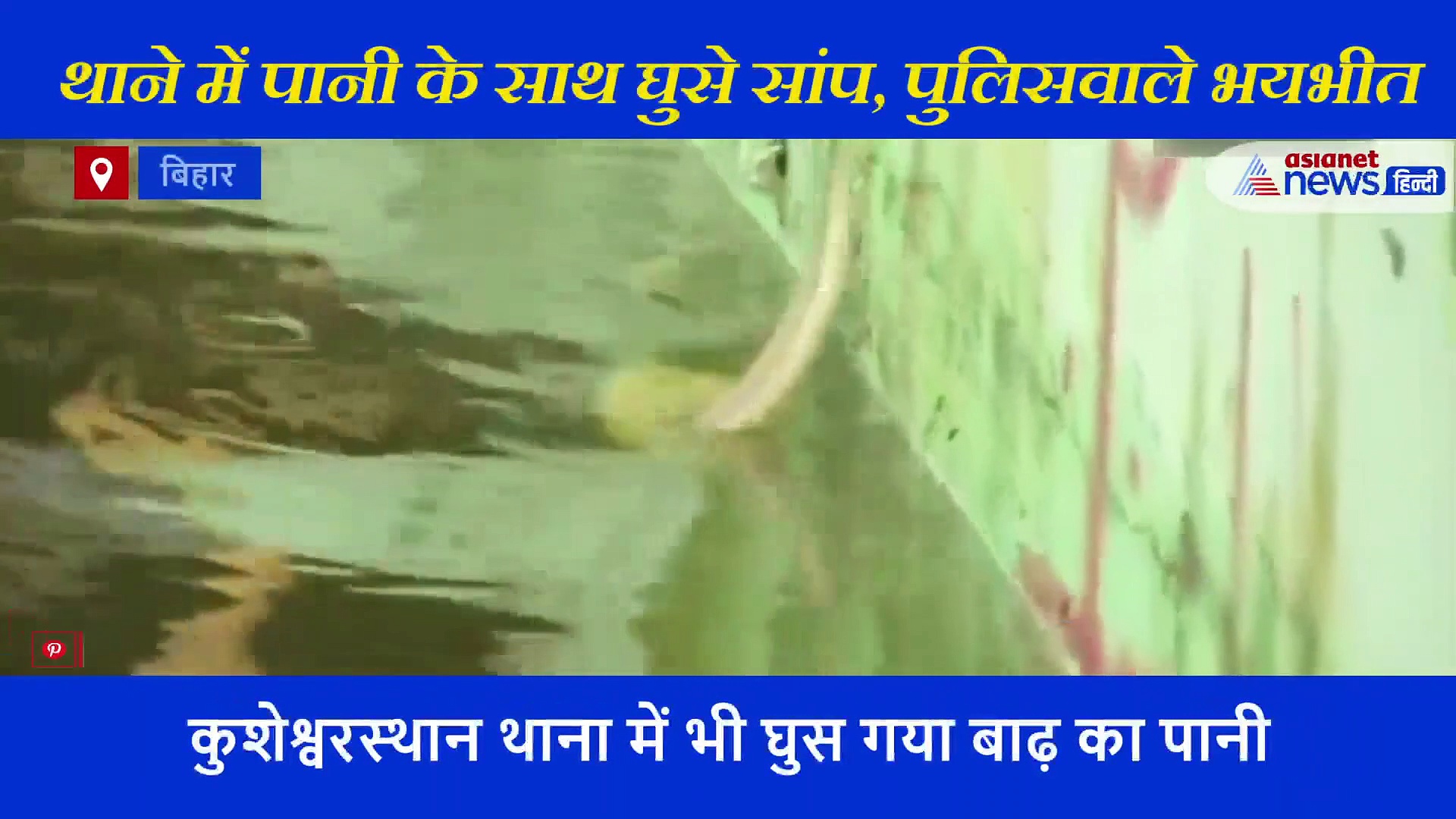 थाने में पानी के बीच घूम रहे ऐसे सांप, पुलिसवाले भयभीत, देखें video