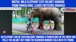Watch: Wild elephant eats helmet hanging from parked bike; leaves netizens shocked