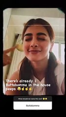 Pooja Hegde 2
