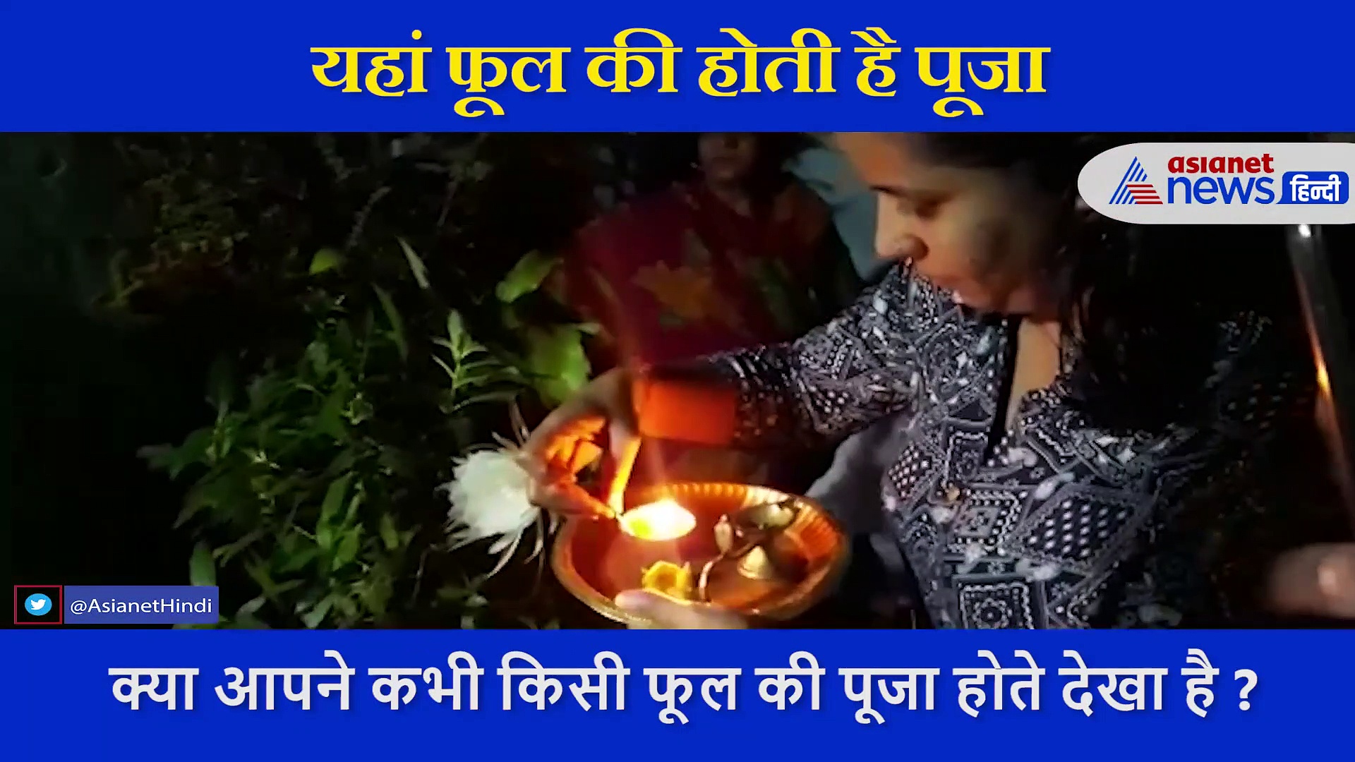 यहां रात को खिला ऐसा अनोखा फूल, देखने उमड़ी भीड़..लोग लाइन लगा करने लगे उसकी पूजा