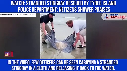 Watch: Stranded stingray rescued by Tybee Island Police Department; netizens shower praises