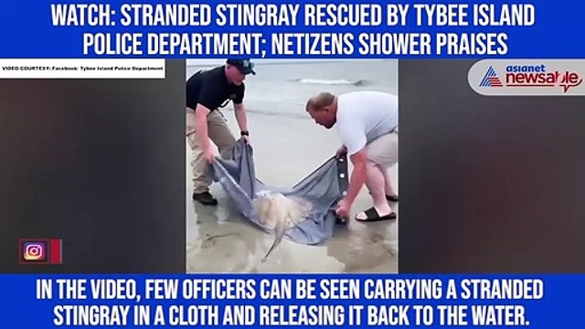 Watch: Stranded stingray rescued by Tybee Island Police Department; netizens shower praises