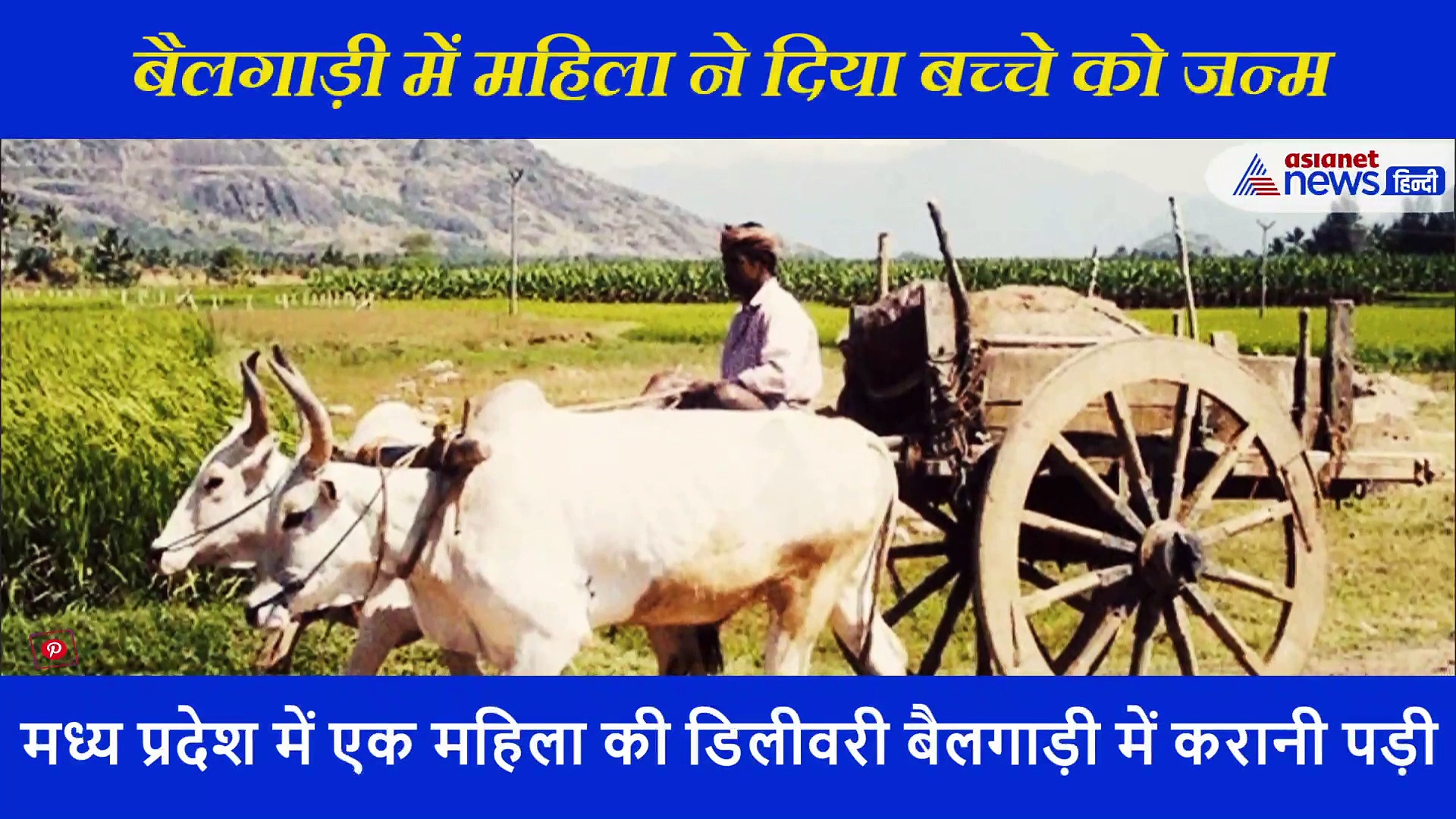 मध्य प्रदेश: बैलगाड़ी में महिला ने दिया बच्चे को जन्म; नहीं पहुंच सकी एम्बुलेंस