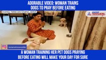 Mother of two dogs teaches her furry babies