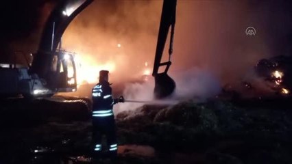 Milas'ta çıkan yangında besi çiftliğindeki saman balyaları yandı