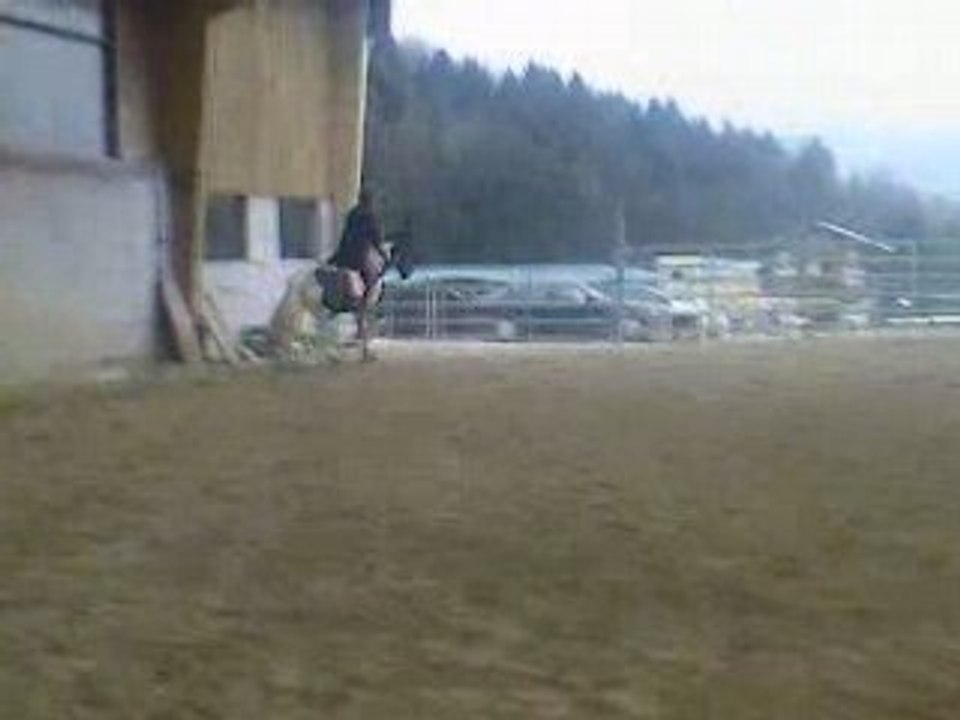 Vidéo-0016