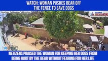 Woman pushes bear off the fence to save dogs