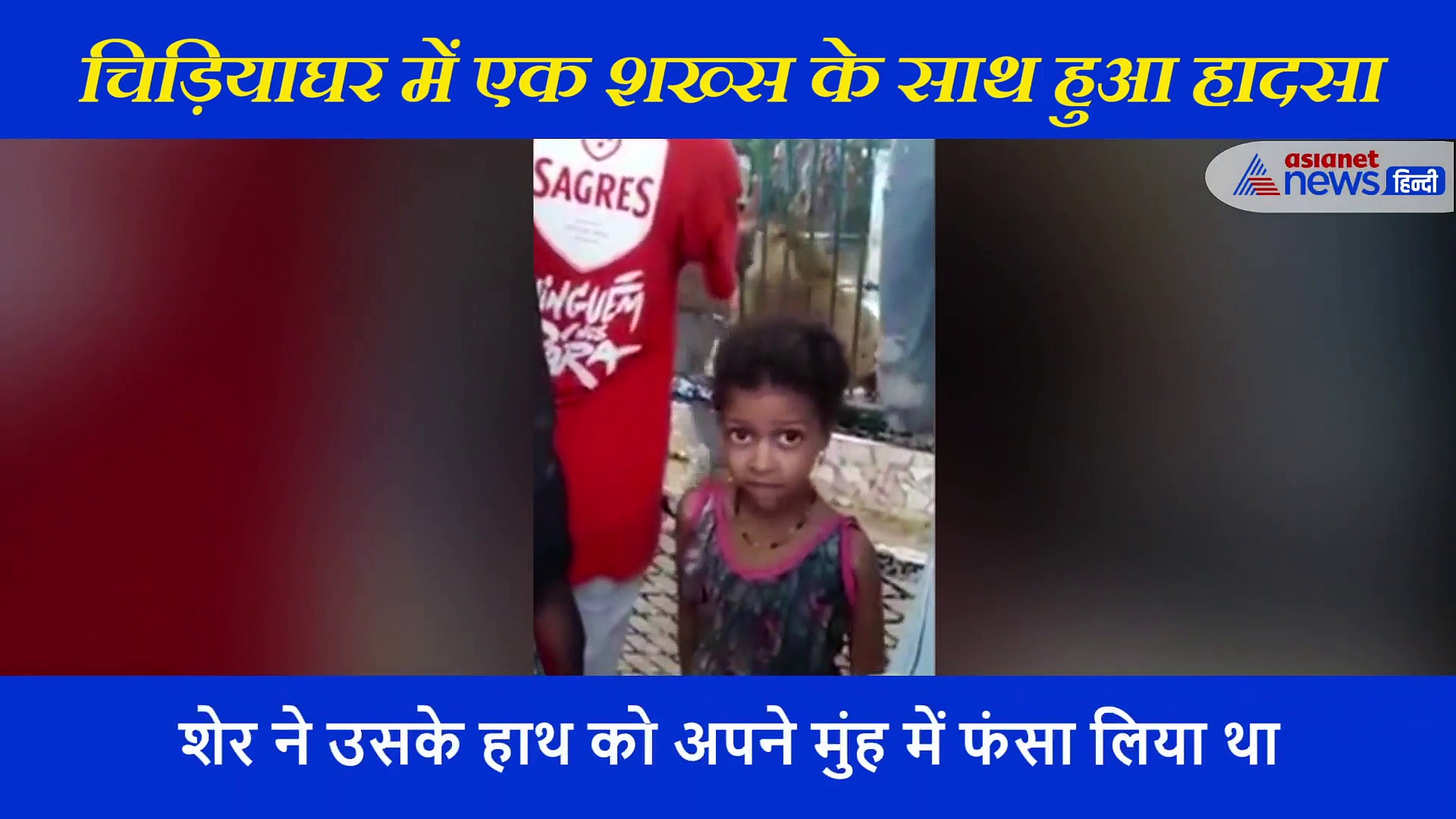 चिड़ियाघर में एक शख्स के साथ हुआ दिल दहला देने वाला हादसा, शेर के पास जाकर यूं बैठ गया