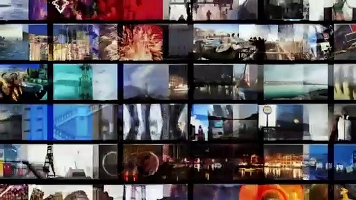 Indian Grey Hornbill Birds Spotted in Mumbai Balcony, Watch Viral Video