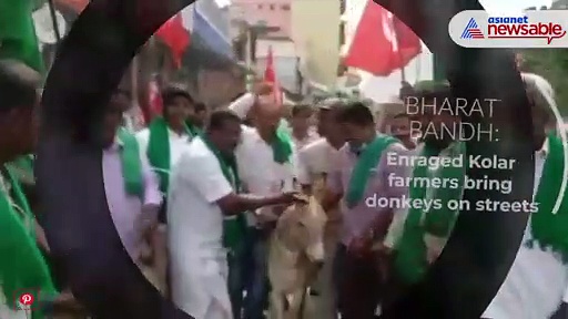 Bharat Bandh: Kolar farmers bring donkeys on streets, compare with PM in anger