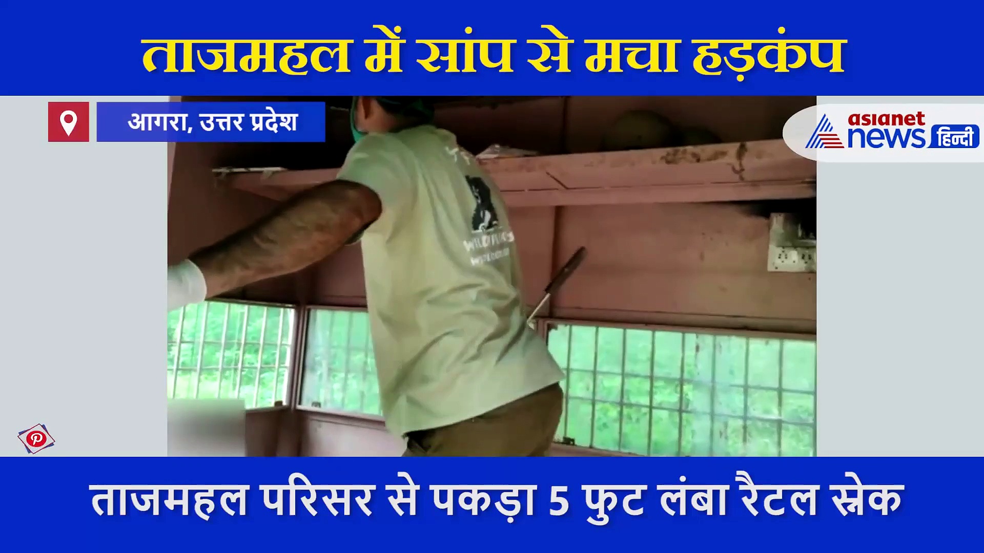 ताजमहल देखने जाने वाले सावधान! अब वहां से निकल रहे हैं सांप