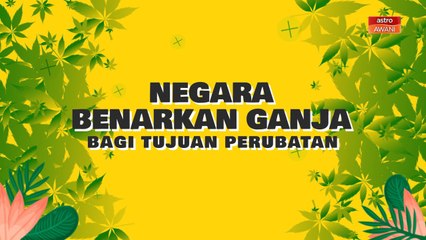 [INFOGRAFIK] Negara benarkan ganja bagi tujuan perubatan