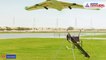UAE creates rain using drone technology
