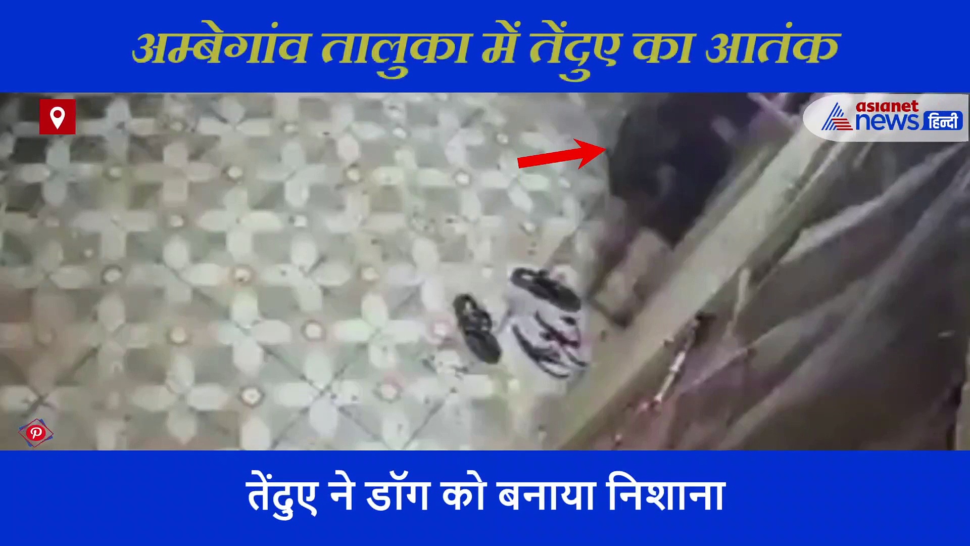 घर के बाहर टहल रहा था डॉग, तेंदुए ने बना लिया निशाना,  रौंगटे खड़े कर देने वाला वीडियो