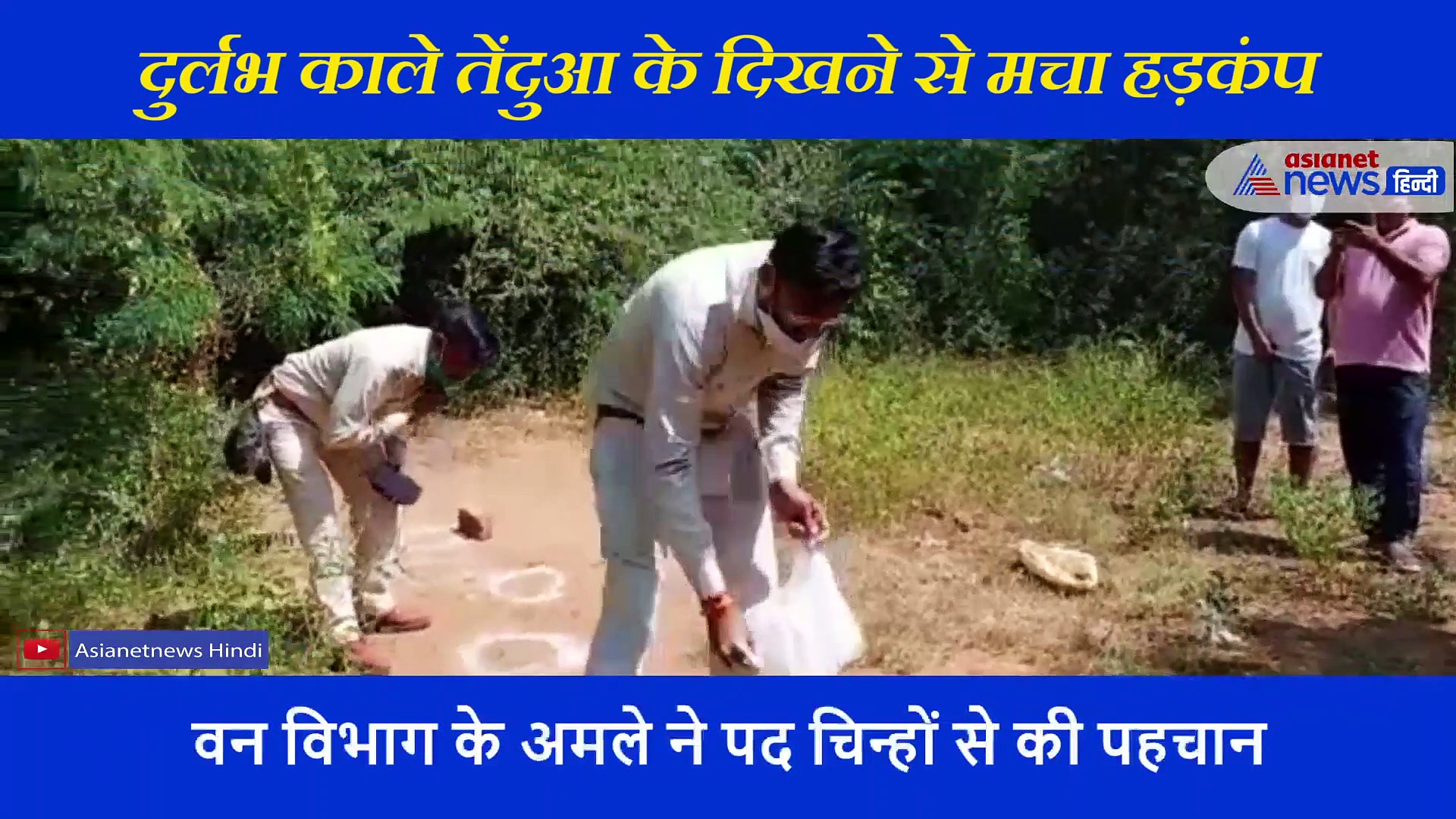 ग्वालियर में दिखाई दिया विलुप्त प्रजाति का दुर्लभ ब्लैक पैंथर, CCTV में हुआ कैद