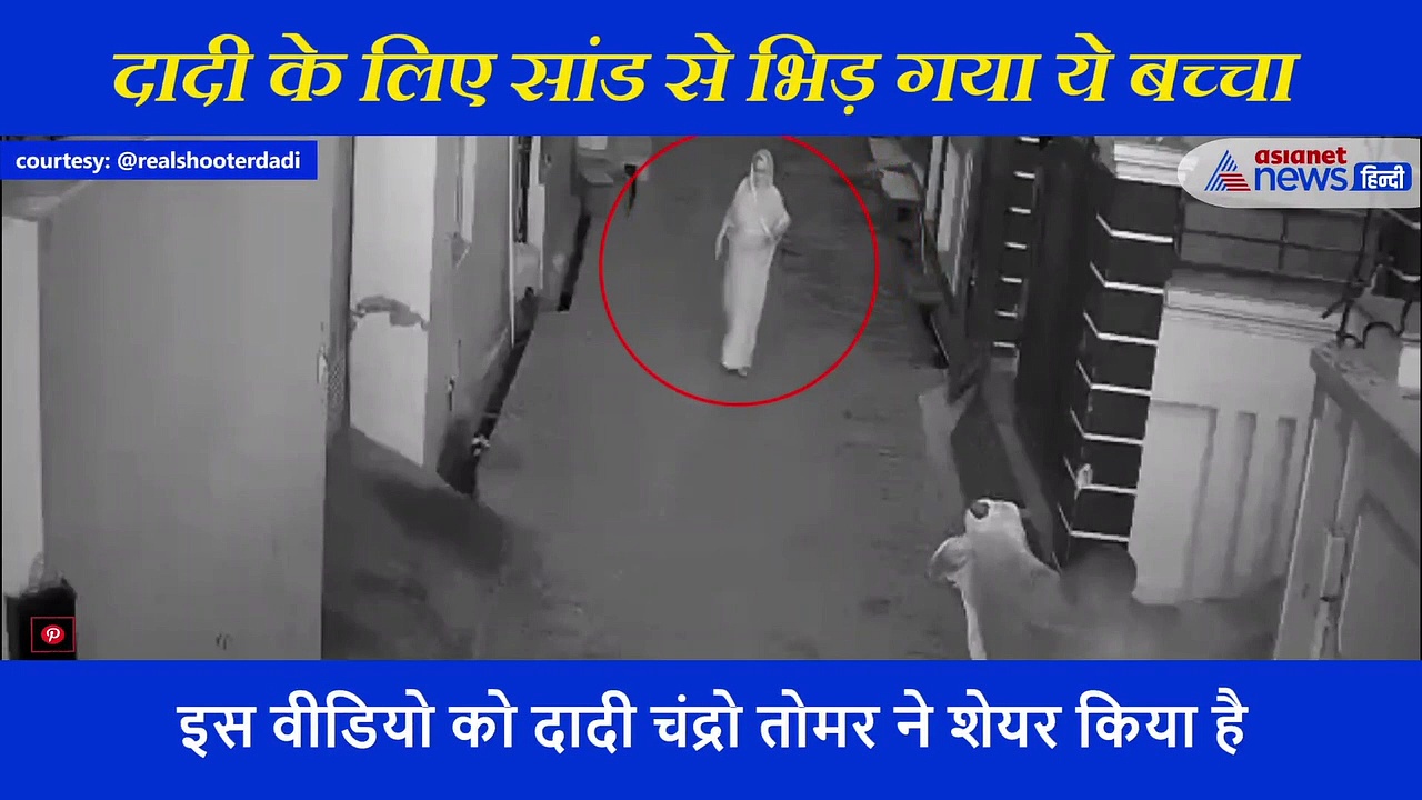 सांड ने मारी दादी को टक्कर तो भिड़ गया पोता,  वीडियो देख डर जायेंगे आप