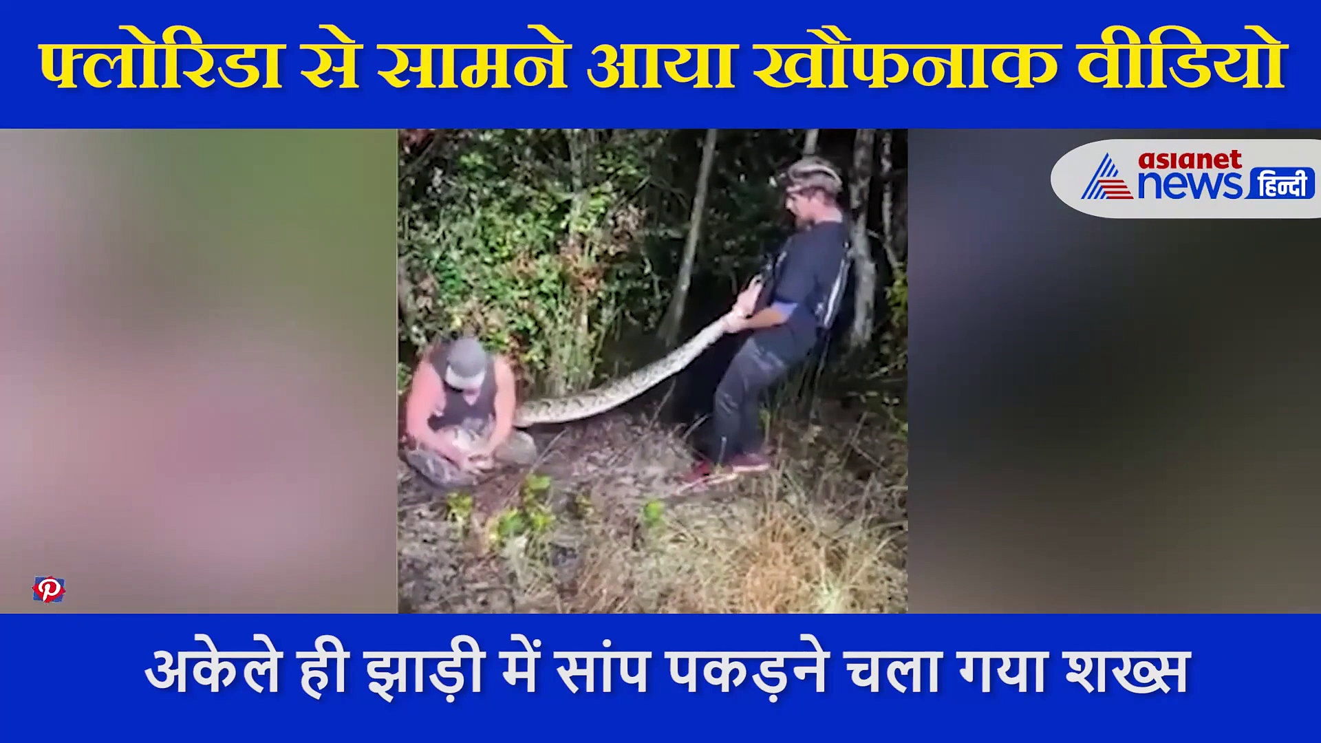 अकेले ही झाड़ियों में सांप पकड़ने पहुंच गया शख्स, 40 सेकंड में अजगर ने जकड़ ली पूरी बॉडी