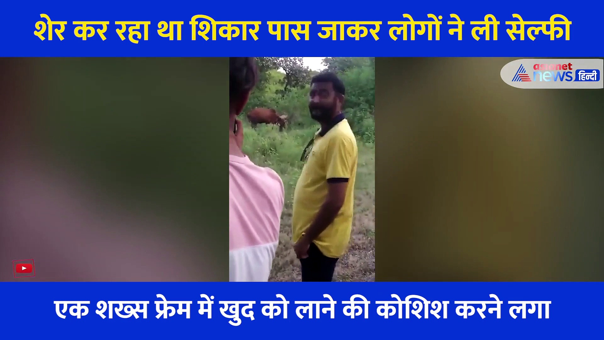 शेर कर रहा था शिकार..तभी उसके पास जाकर लोग लेने लगे सेल्फी, एक फोटो के लिए जान लगा दांव पर