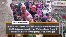 More than 22 million Afghans will suffer 