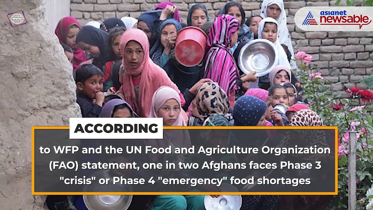 More than 22 million Afghans will suffer "acute food insecurity" this winter : UN agencies