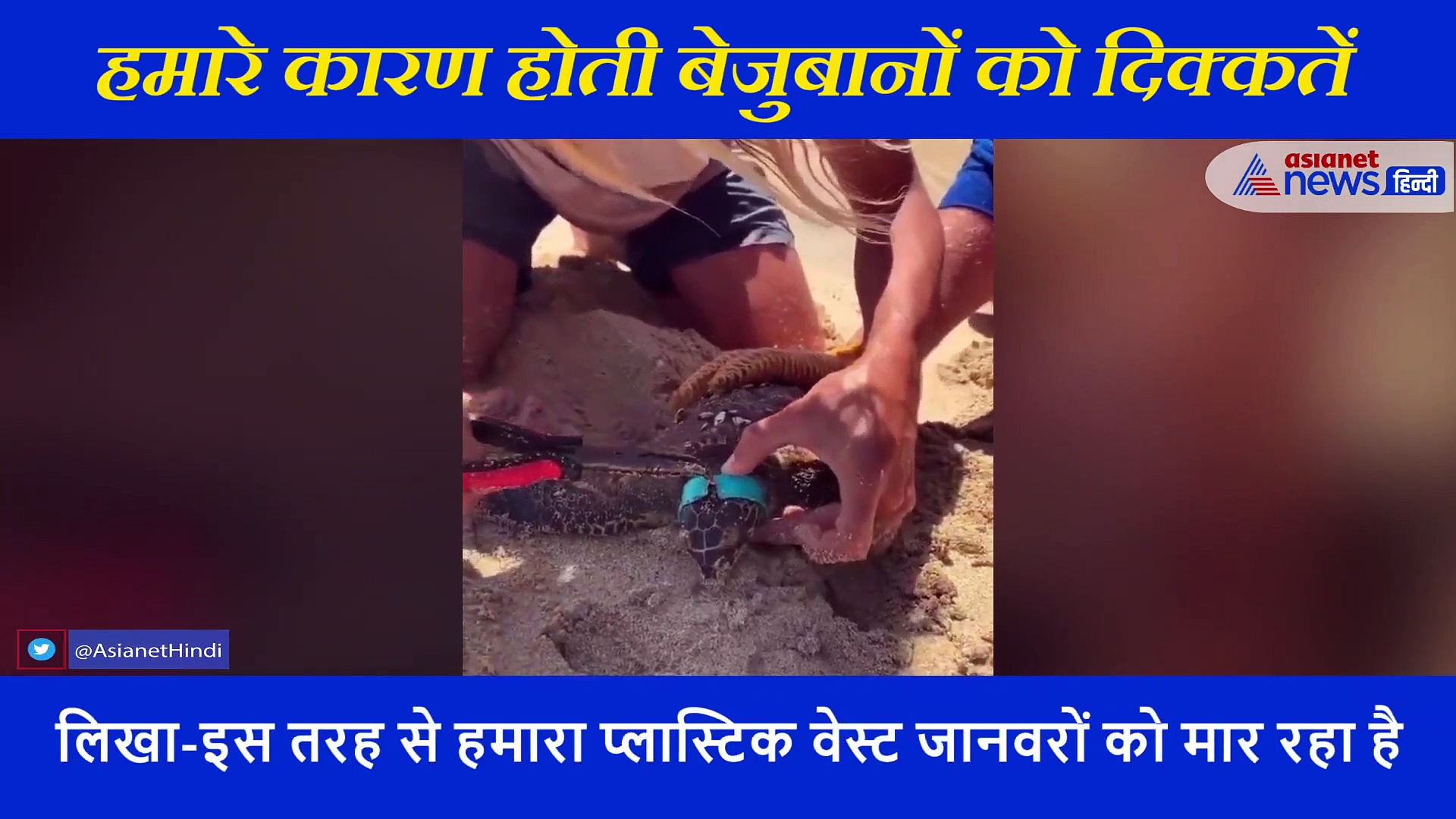 कछुए के गले में फंस गया प्लास्टिक, IFS ने वीडियो शेर कर कही ये बात