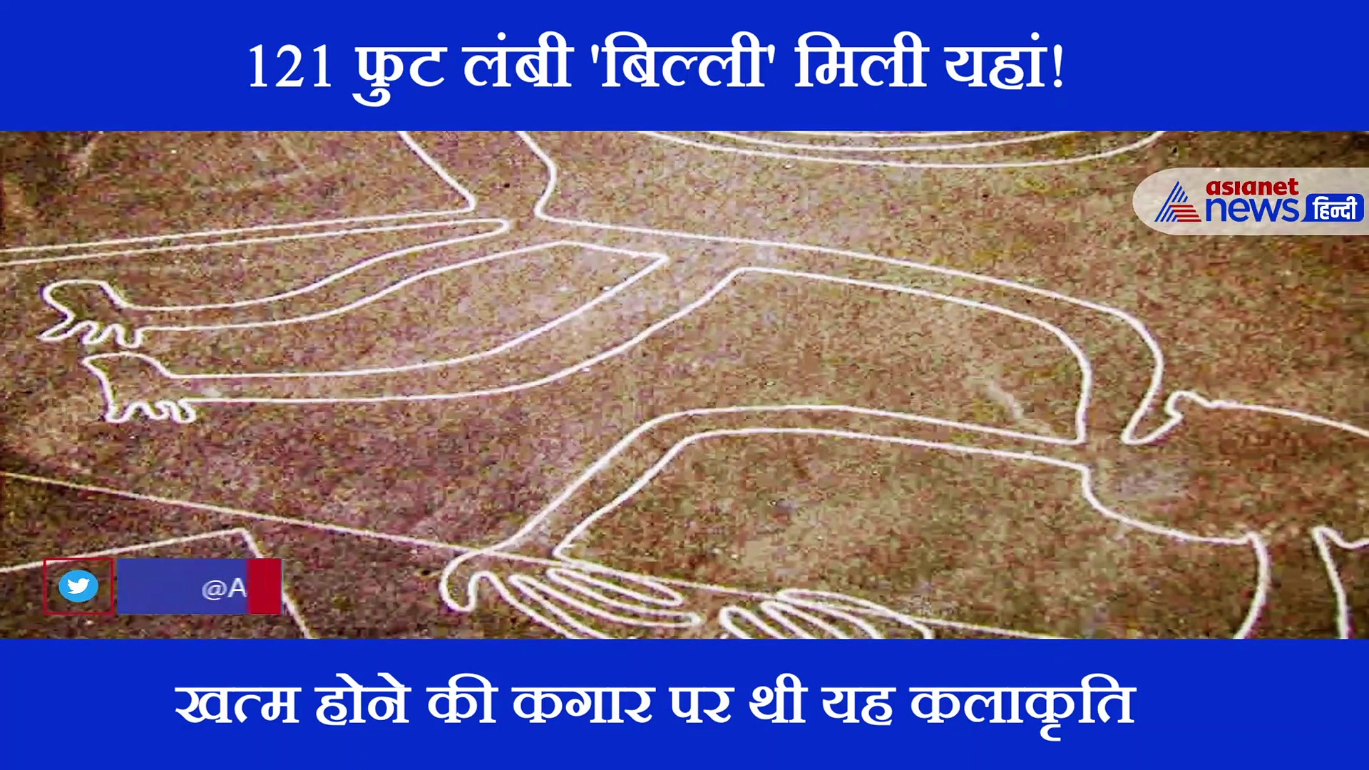 इस रहस्यमय रेगिस्तान से मिली अनोखी 121 फुट लंबी बिल्ली