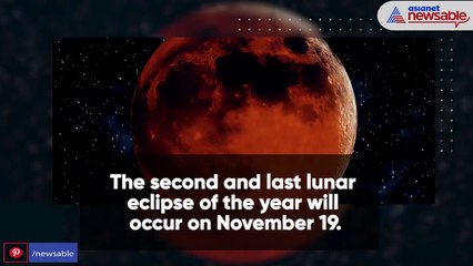 The second and last lunar eclipse of the year will occur on November 19