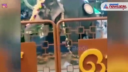 Elephant goes violent in Thrissur