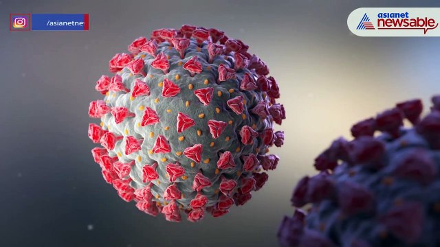 Amid COVID-19 concerns, US expands interview waivers for H-1B, L-1 visas